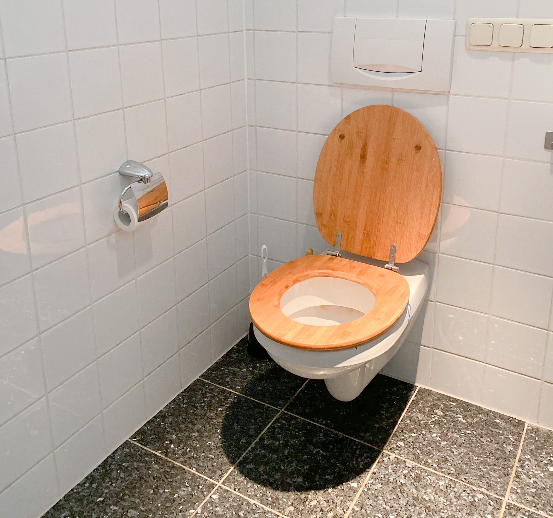 Пожалуй, это самый жуткий туалет их всех существующих (фото + видео)